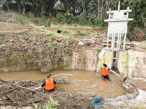 党员干部清除渠道内淤堵树枝 本报通讯员 李林 摄
